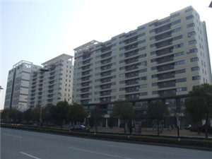 金都汇